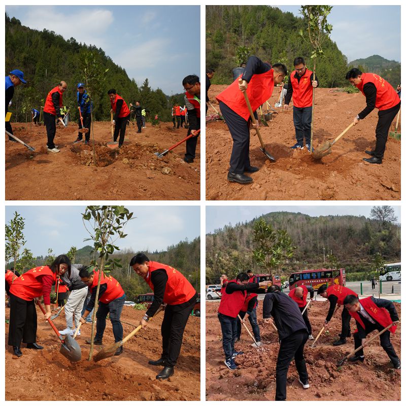 1678454961773204.jpg 122.jpg